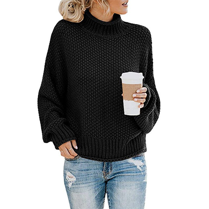 Women’s Solid Knit Turtleneck Sweater