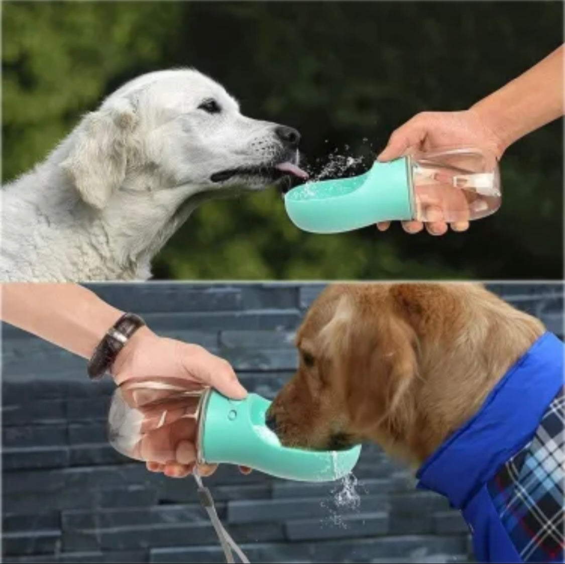 Portable Pet Dog Water Bottle - 350ml (11.8oz), 550ml (18.6oz) - Essential Grove