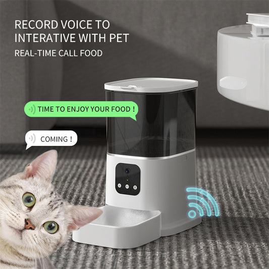 Pet Automatic Food Dispenser